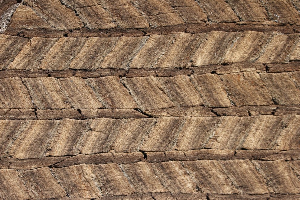 Streymi af málþinginu Torfarfurinn / Live stream of the Torfarfurinn symposium