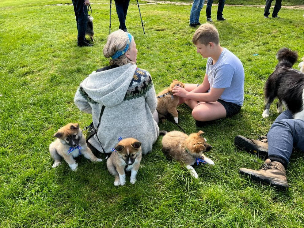 Þökkum fyrir komuna á degi Mark Watson