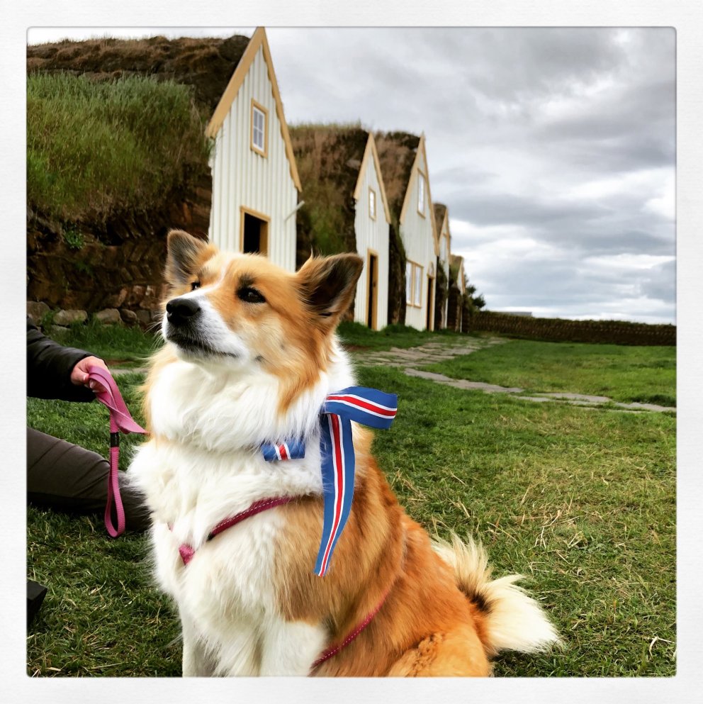 Mark Watson dagurinn í Glaumbæ