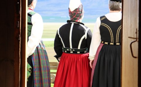 Kvenréttindadagurinn / Icelandic Women's Rights Day