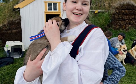 Velkomin á Mark Watson daginn
