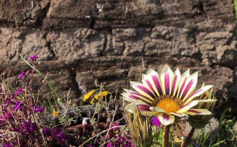 Lokað á verkalýðsdaginn / Closed on the International Workers' Day