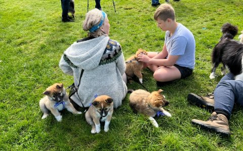 Þökkum fyrir komuna á degi Mark Watson